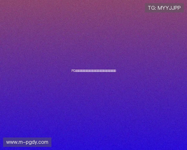 PG下载平台如何保障用户隐私安全与游戏下载速度的双重提升